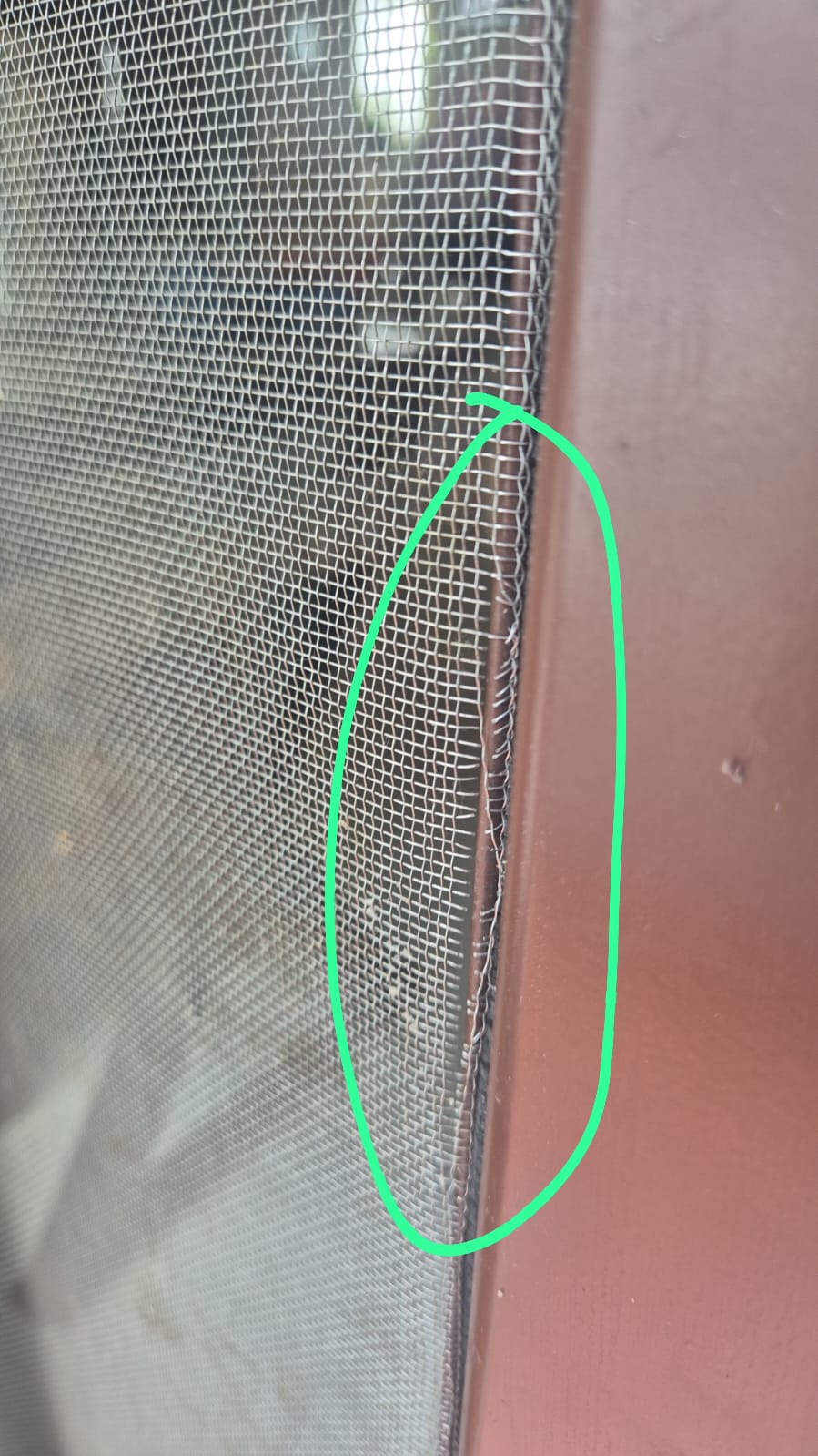 Mosquito Mesh Replacement at Sona Vistaas Apartment, Bengaluru - Kutbi Aluminium Glass & Hardware (After / Completed Work)