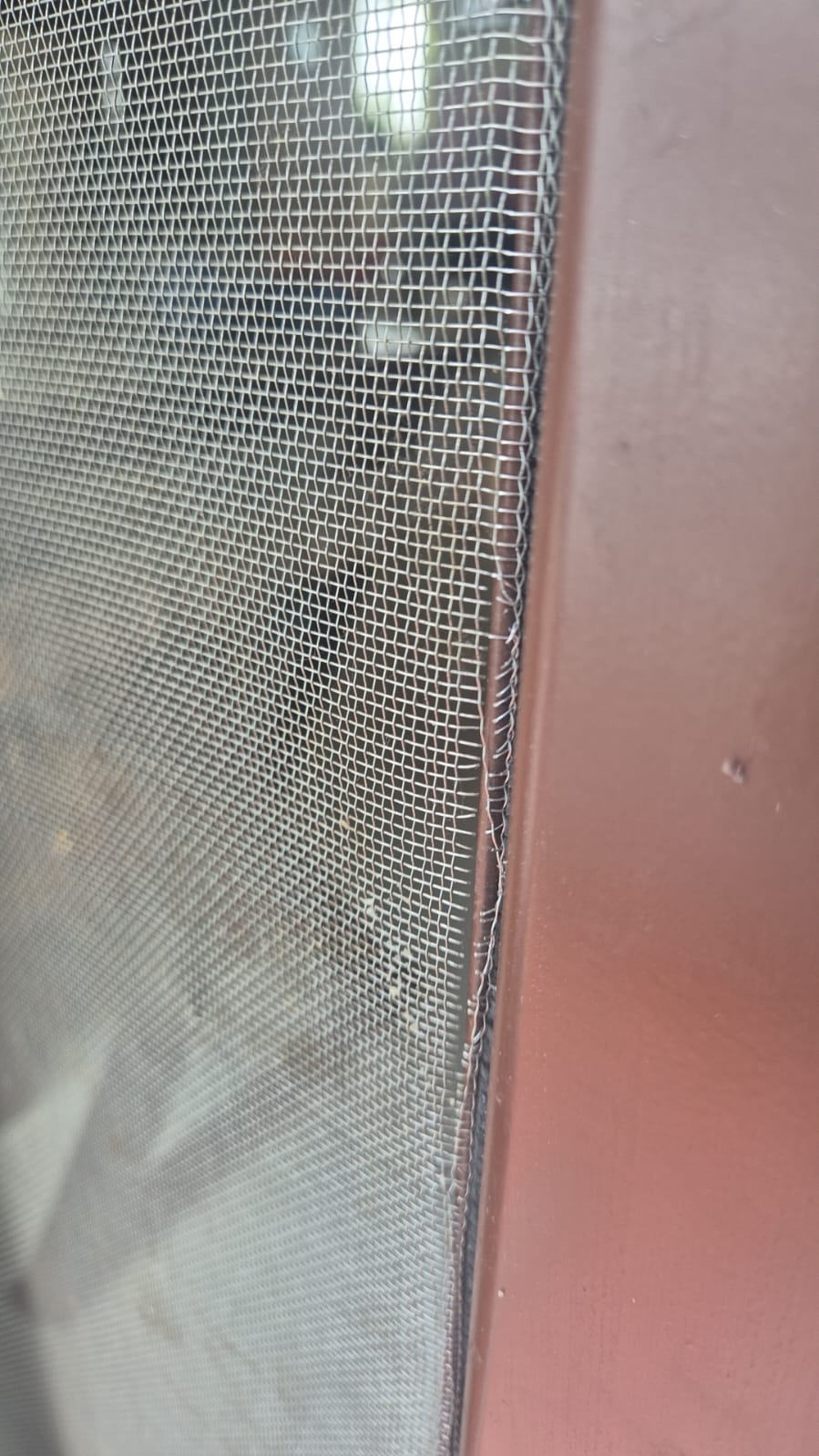 Mosquito Mesh Replacement at Sona Vistaas Apartment, Bengaluru - Kutbi Aluminium Glass & Hardware (After / Completed Work)