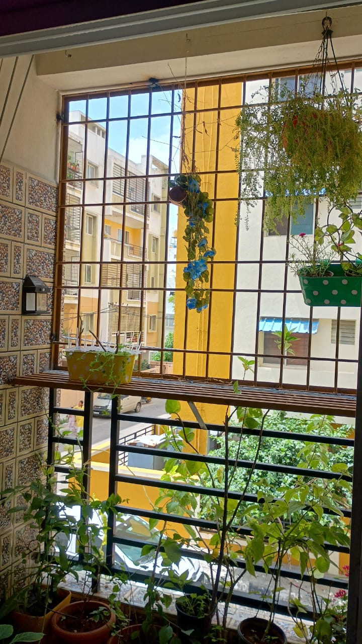 Pigeon Net Installation in Sai Janani, 6th Cross Road, Kothnur Dinne Main Road, JP Nagar 8th Phase, Bengaluru (Near Sri Sri Academy School & Post Office) - Kutbi Aluminium Glass & Hardware
