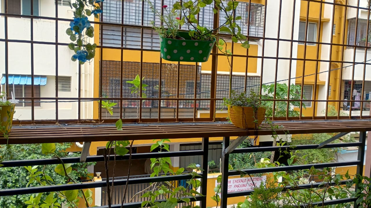 Pigeon Net Installation in Sai Janani, 6th Cross Road, Kothnur Dinne Main Road, JP Nagar 8th Phase, Bengaluru (Near Sri Sri Academy School & Post Office) - Kutbi Aluminium Glass & Hardware