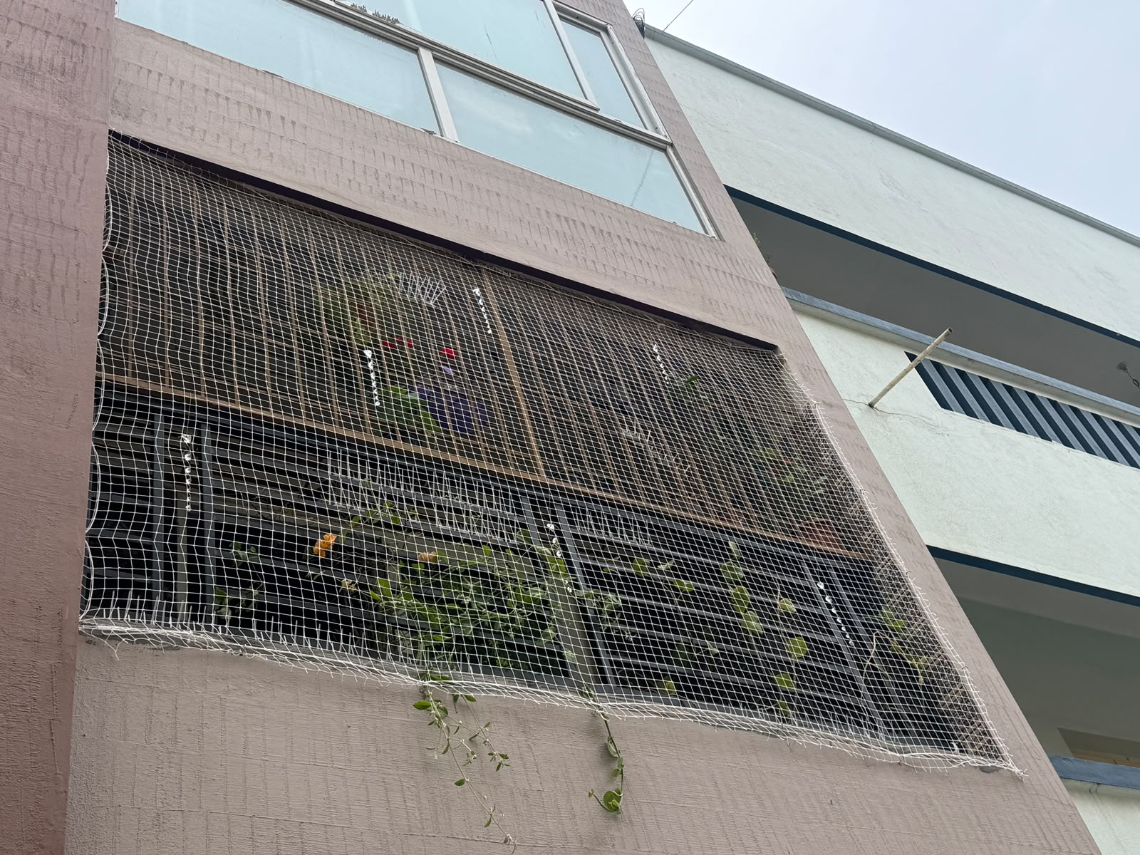 Pigeon Net Installation in Sai Janani, 6th Cross Road, Kothnur Dinne Main Road, JP Nagar 8th Phase, Bengaluru (Near Sri Sri Academy School & Post Office) - Kutbi Aluminium Glass & Hardware